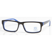 Everton FC Glasses (Adult)